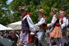 Sokoly-2015-Polish-Festival-Belmont-02