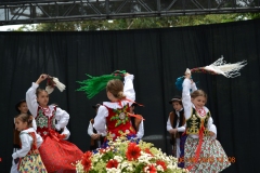 Sokoly-2016-Polish-Festival-Belmont-03