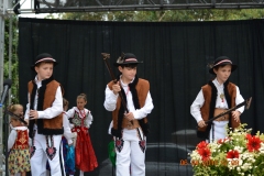 Sokoly-2016-Polish-Festival-Belmont-05