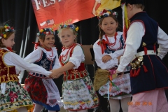 Sokoly-2016-Polish-Festival-Martinez-02