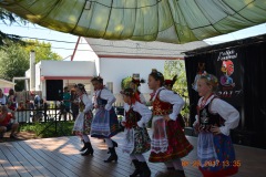 Sokoly-2017-Polish-Festival-Martinez-11