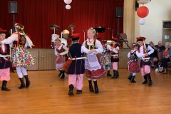 Sokoly-2019-Polish-Festival-Roseville-05